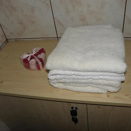 Gasthuis And Restaurant Ana 3*