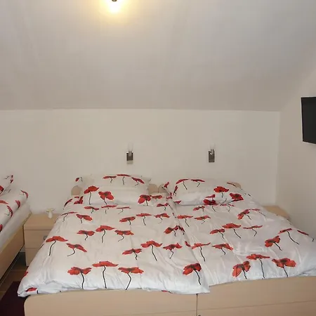 And Restaurant Ana 3*