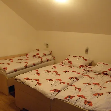 And Restaurant Ana Guest house 3*