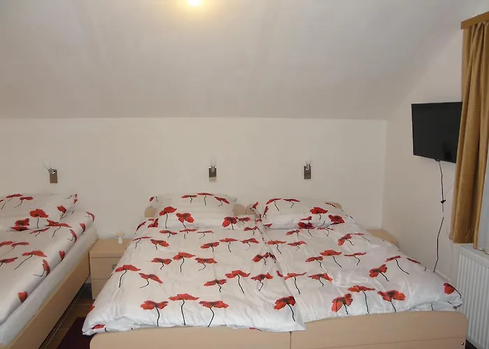 And Restaurant Ana 3*