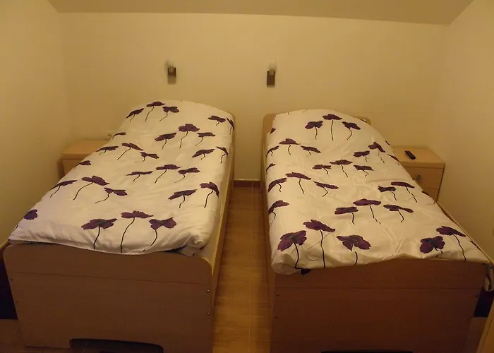 And Restaurant Ana 3* Hrib-Loski Potok